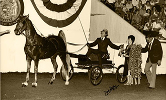 A historic photo of a single person carriage, horse and three people in a show ring