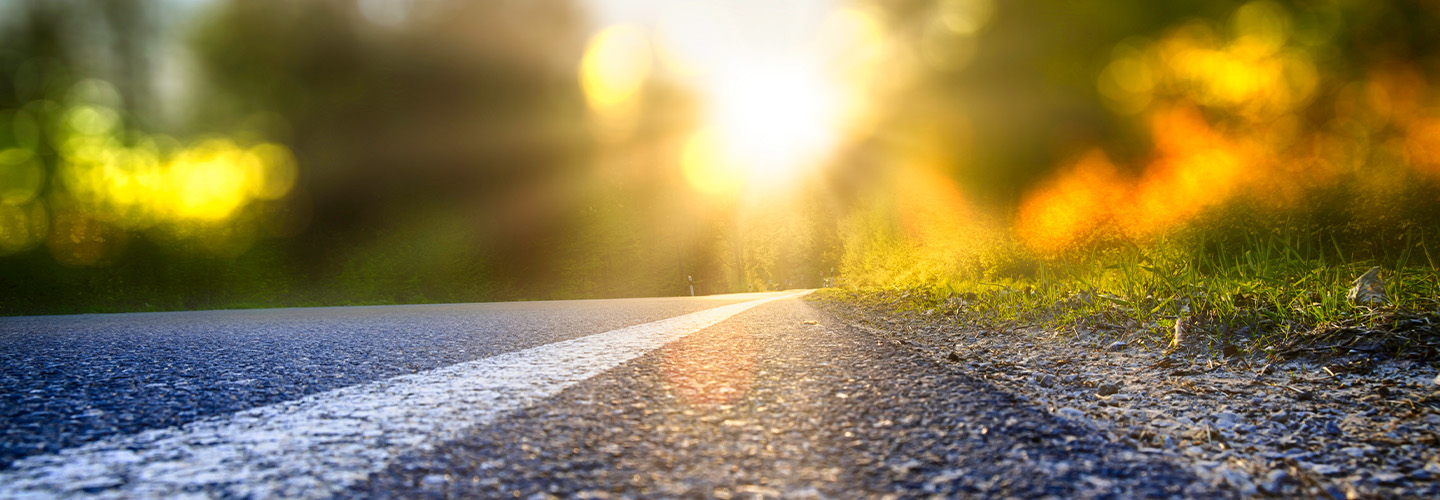 A road surrounded by trees disappearing into the sunrise