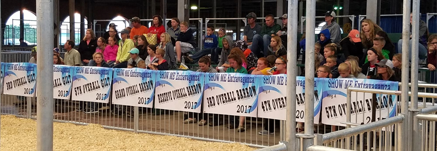 The new bleachers and show ring in use at a Swine Barn event