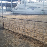Sine barn show ring issues