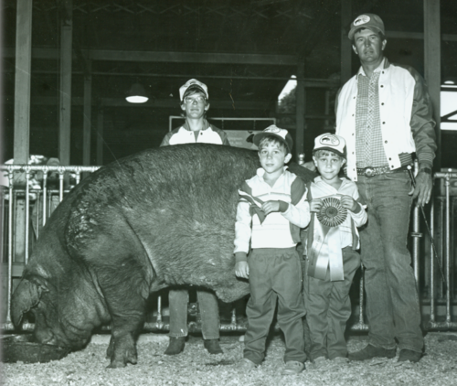 A vintage image showing a farm family at the Swine Barn